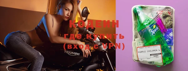 индика Бугульма
