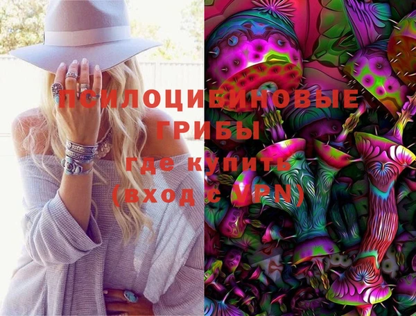 индика Бугульма
