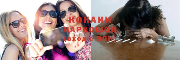 индика Бугульма