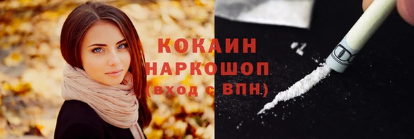 индика Бугульма