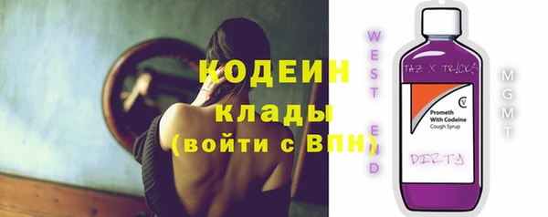 индика Бугульма