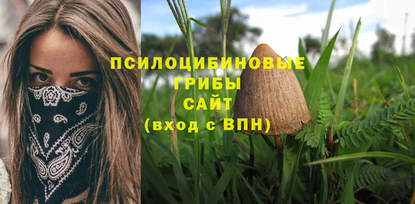 каннабис Бородино