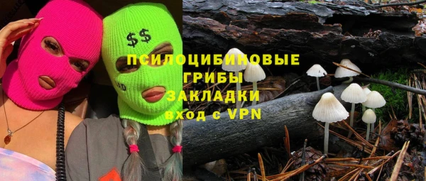индика Бугульма