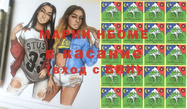 индика Бугульма