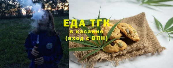 индика Бугульма
