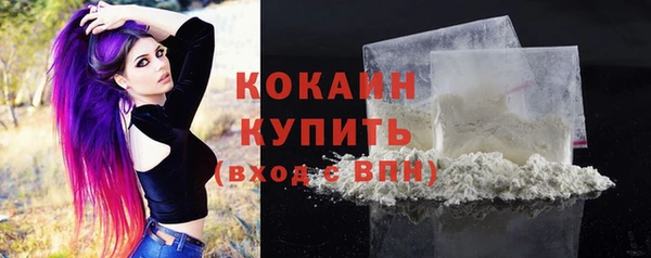 индика Бугульма