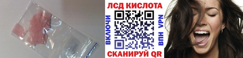 Купить Кондопога LSD-25 экстази ecstasy