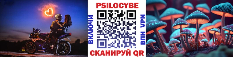 Галлюциногенные грибы мицелий  Купить где  Кондопога 